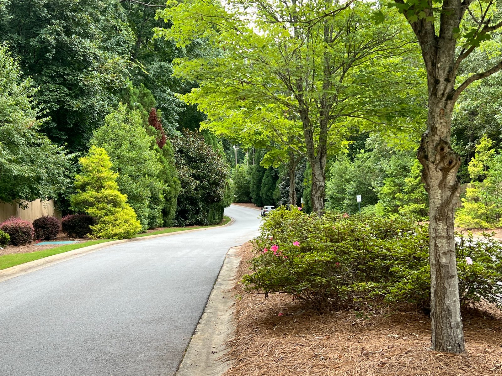 Westminister Village